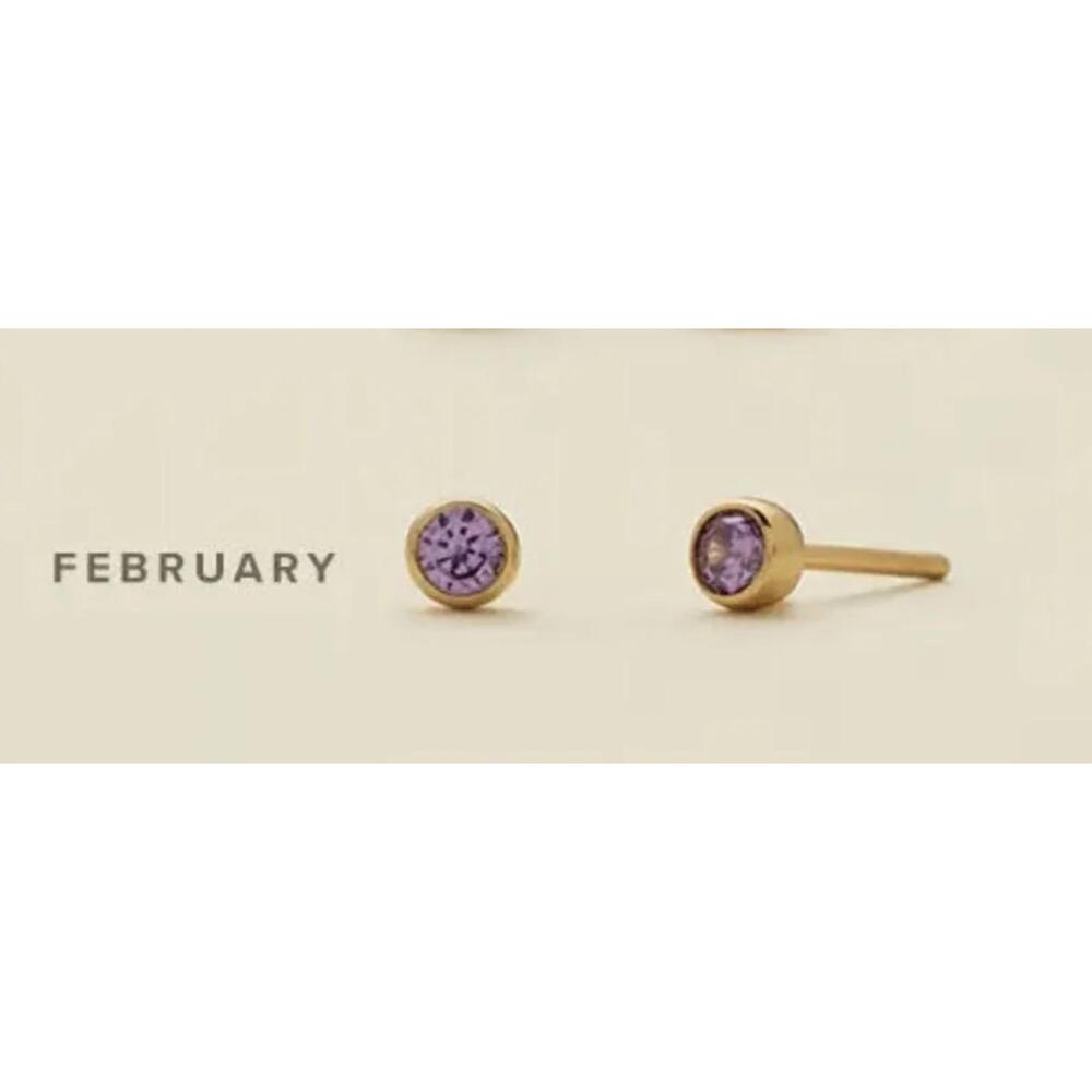 NEW MADE BY MARY february birthstone stud earrings in february